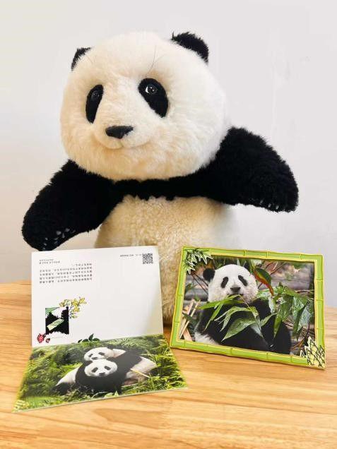 正实现“让文化可收藏让知识可陪伴”开元棋牌新华社知识手伴重磅上新真(图6)